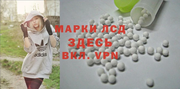 хмурый Осинники
