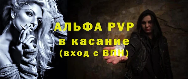 хмурый Осинники