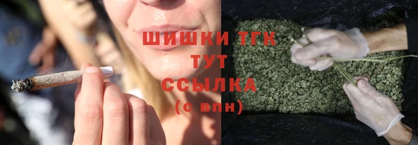 spice Осташков