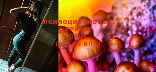 хмурый Осинники