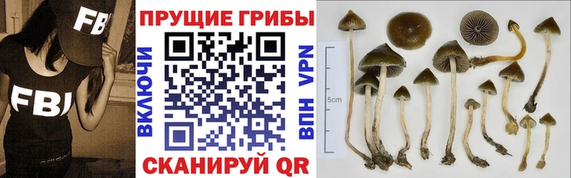 Галлюциногенные грибы Magic Shrooms  что такое   Усть-Лабинск 