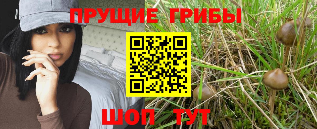 Усть-Лабинск  Псилоцибиновые грибы MAGIC MUSHROOMS  Вход с VPN 