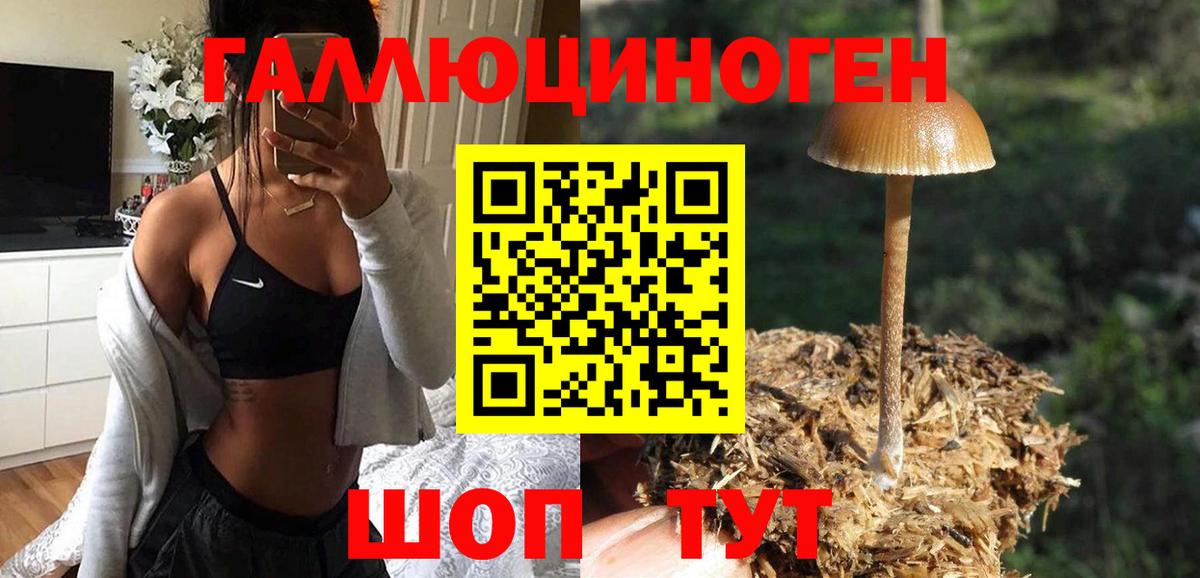 Псилоцибиновые грибы Cubensis  Усть-Лабинск 